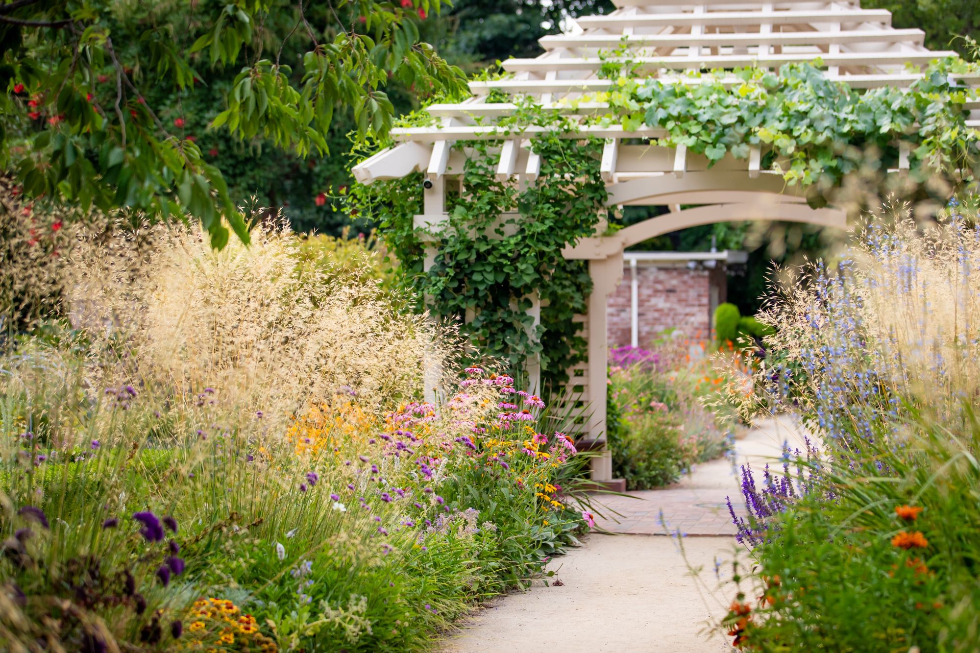 Palo Alto Shutterstock 2500313523